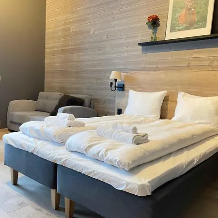 Alpine Διαμέρισμα Trysil